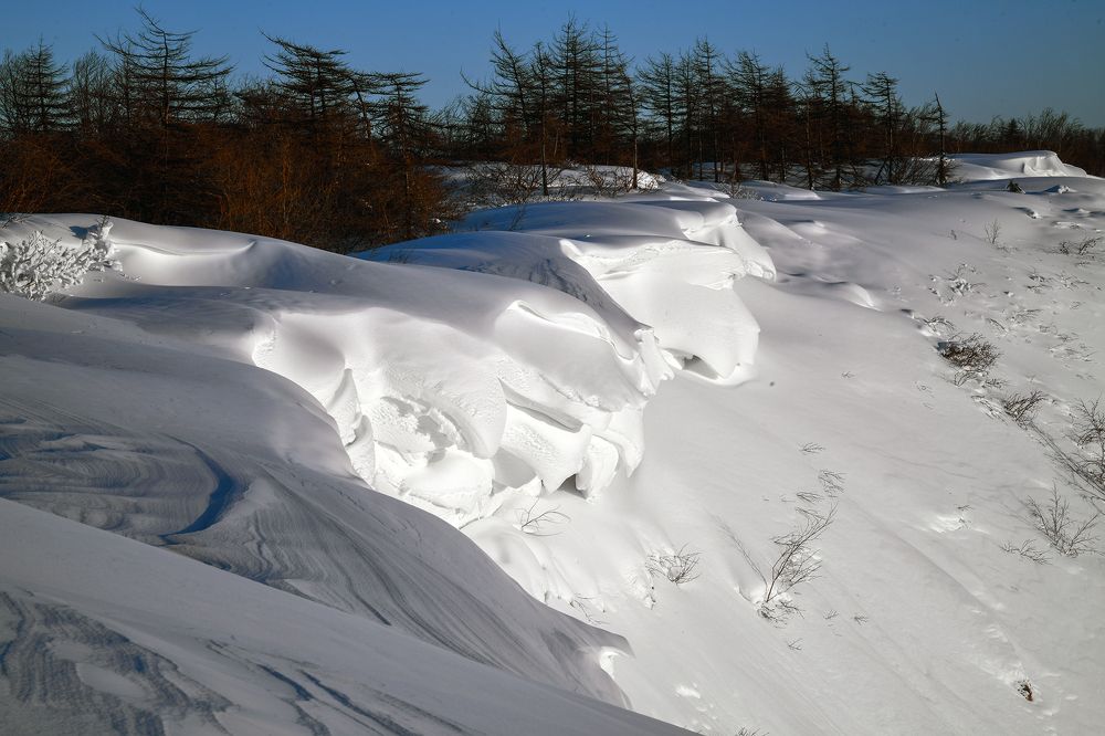 Photograph by Елена Осколкова