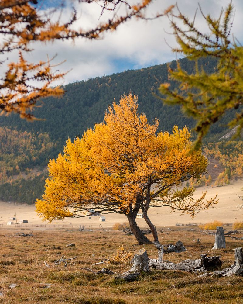 Photograph by Евгения Сосновская