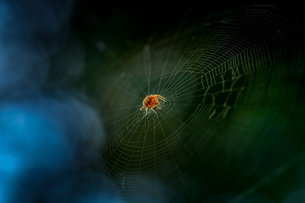 Photograph by Samir Kurtagić