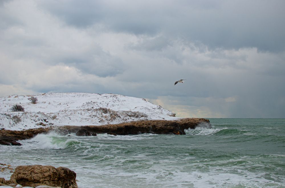 Photograph by Anna Parshenko