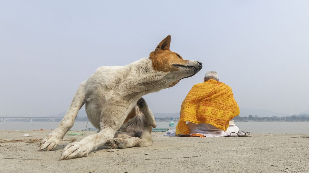 Photograph by Puspita Chowdhury