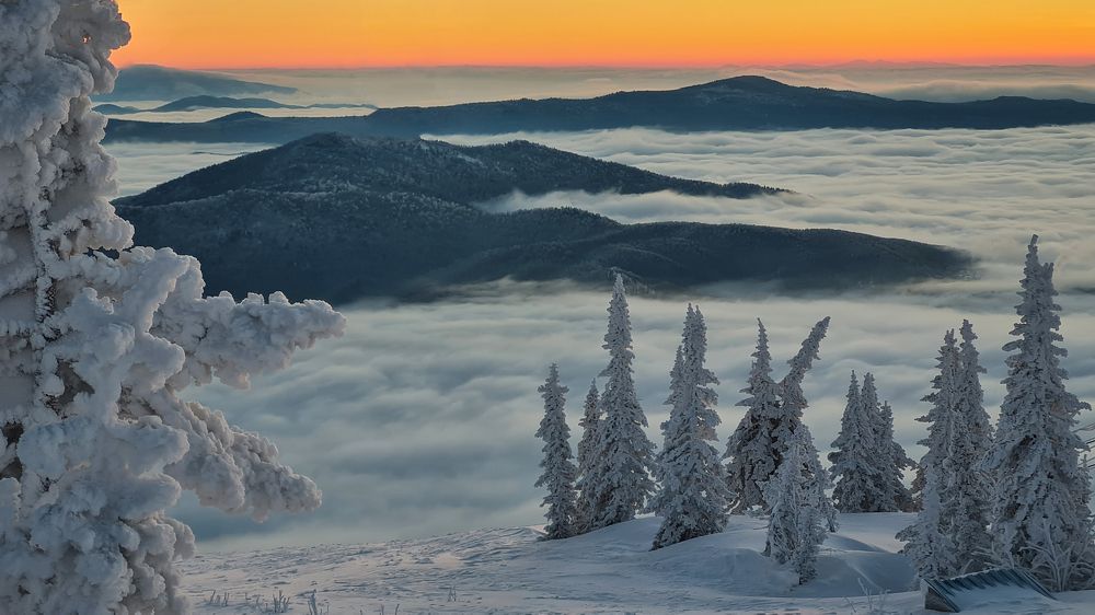 Photograph by Александр Кузовков