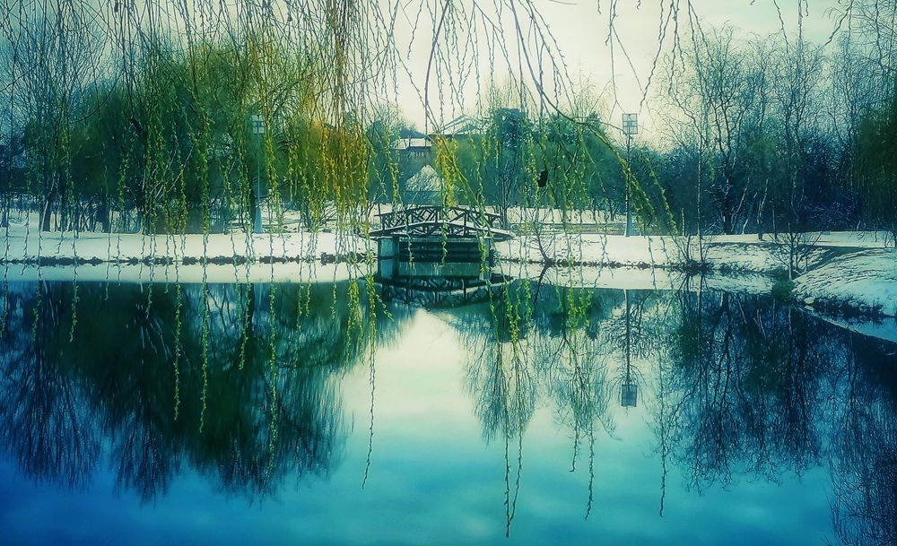 Photograph by Mariana Ștefania Odințoi