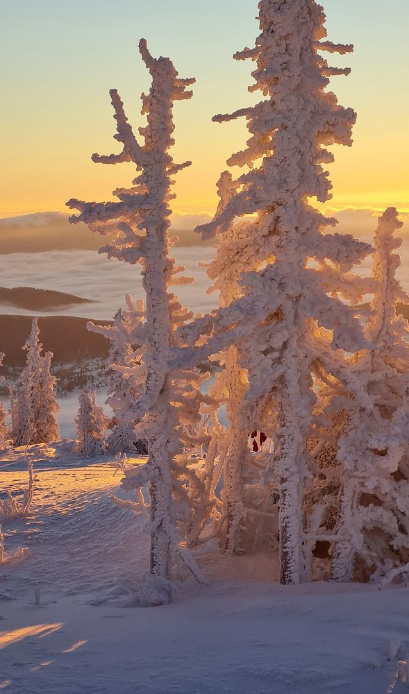 Photograph by Александр Кузовков