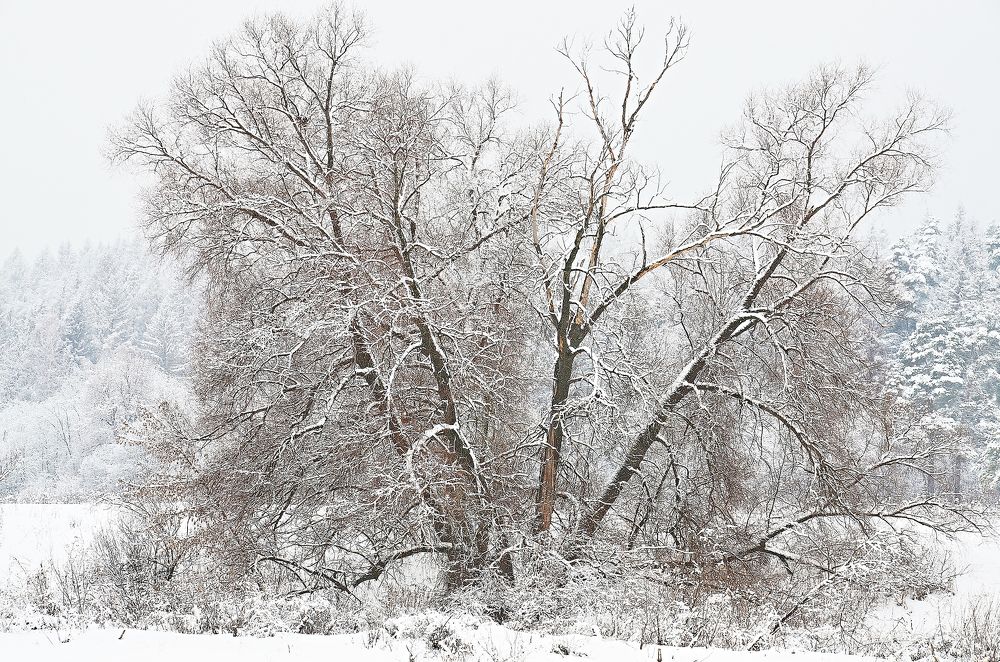 Photograph by Валерий