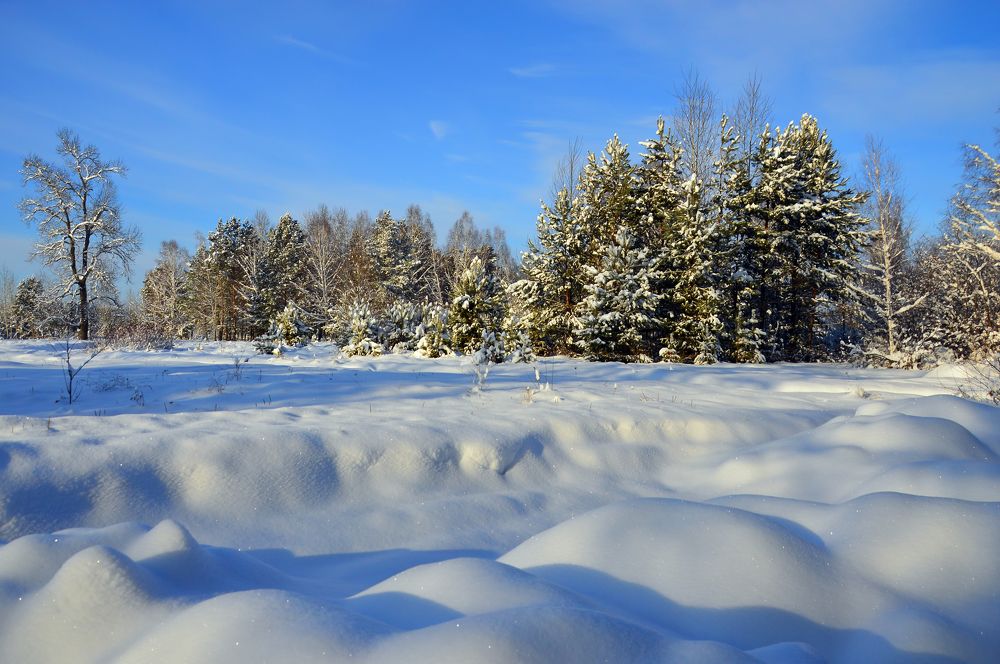 Photograph by Nadezhda