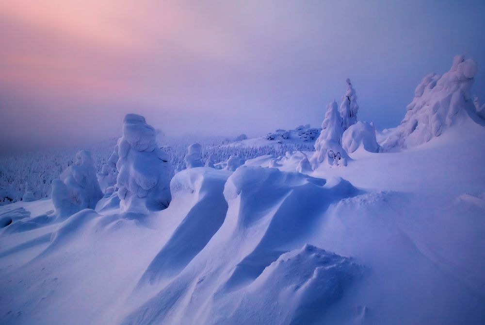 Фотография автора Vyacheslav Lozhkin