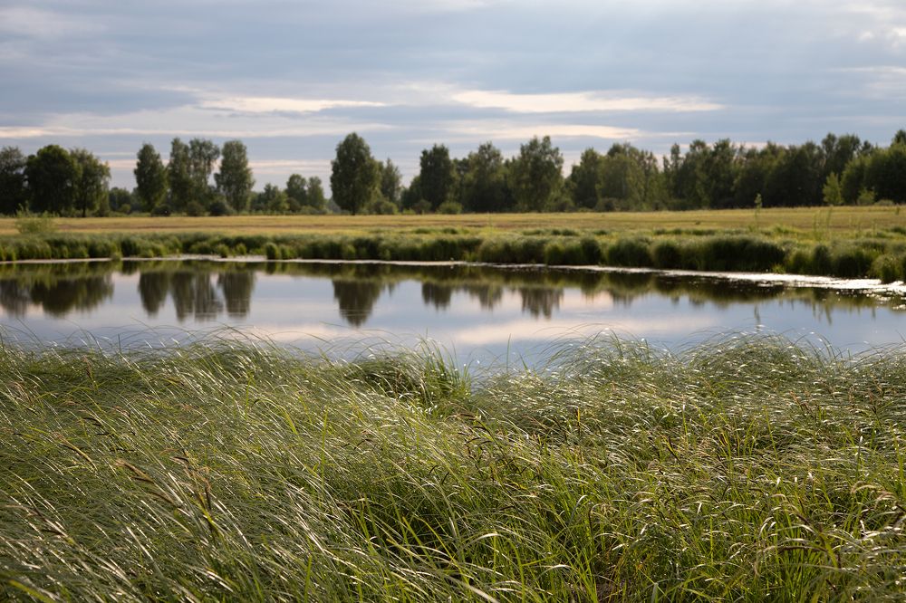 Photograph by Анна Статейко