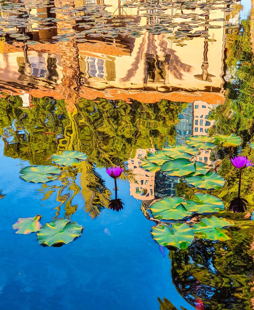 Photograph by Михаил Заброцкий