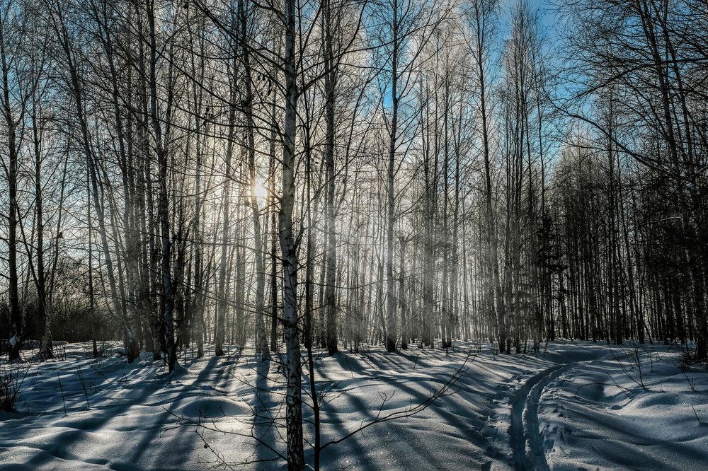Photograph by Yulia Yuzhakova