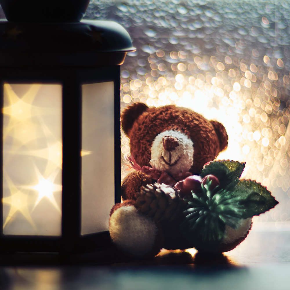 Photograph by Виктория Колышева