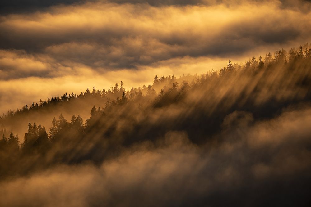 My place in the world