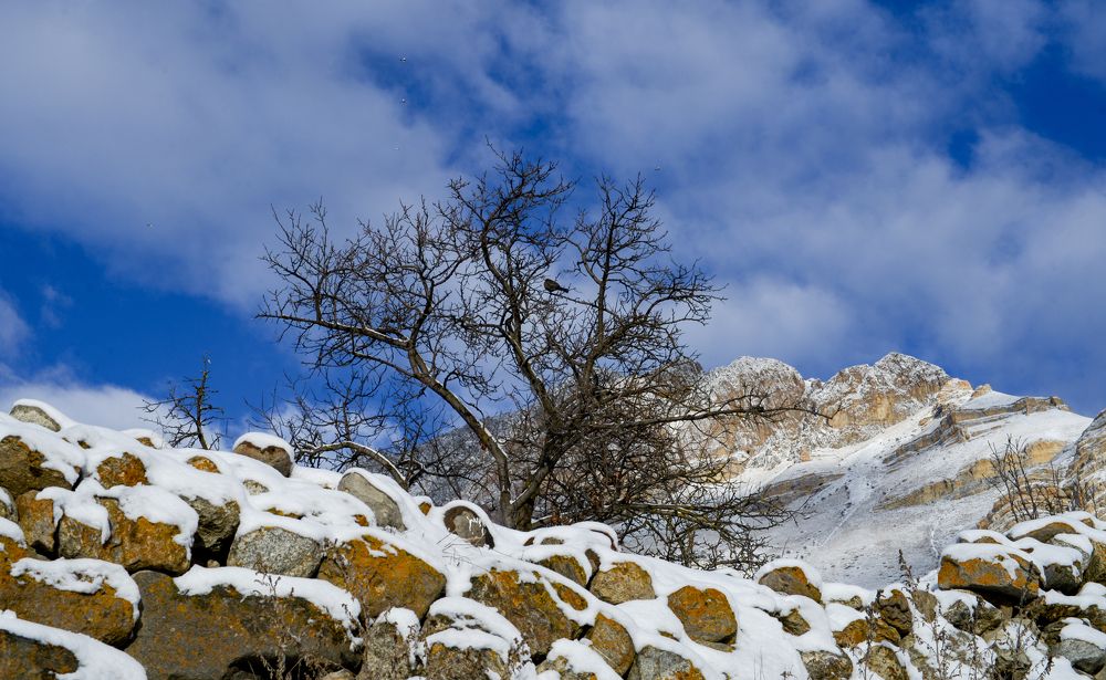 Photograph by РАСУЛ БОТАШЕВ