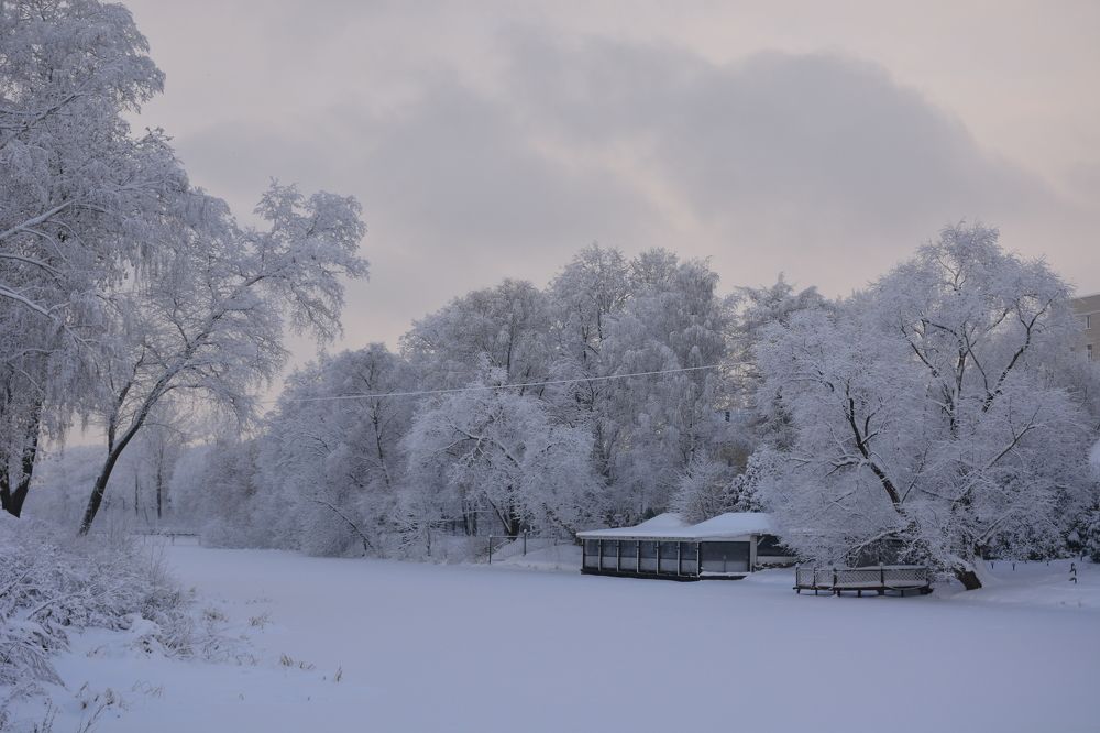 Кружево зимы...