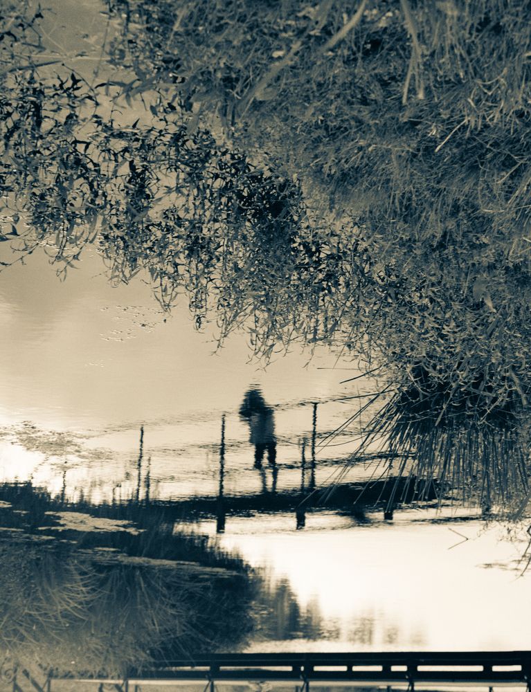 Photograph by Veronika Trubnikova