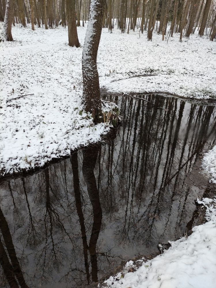 Photograph by Ирина Подлубная