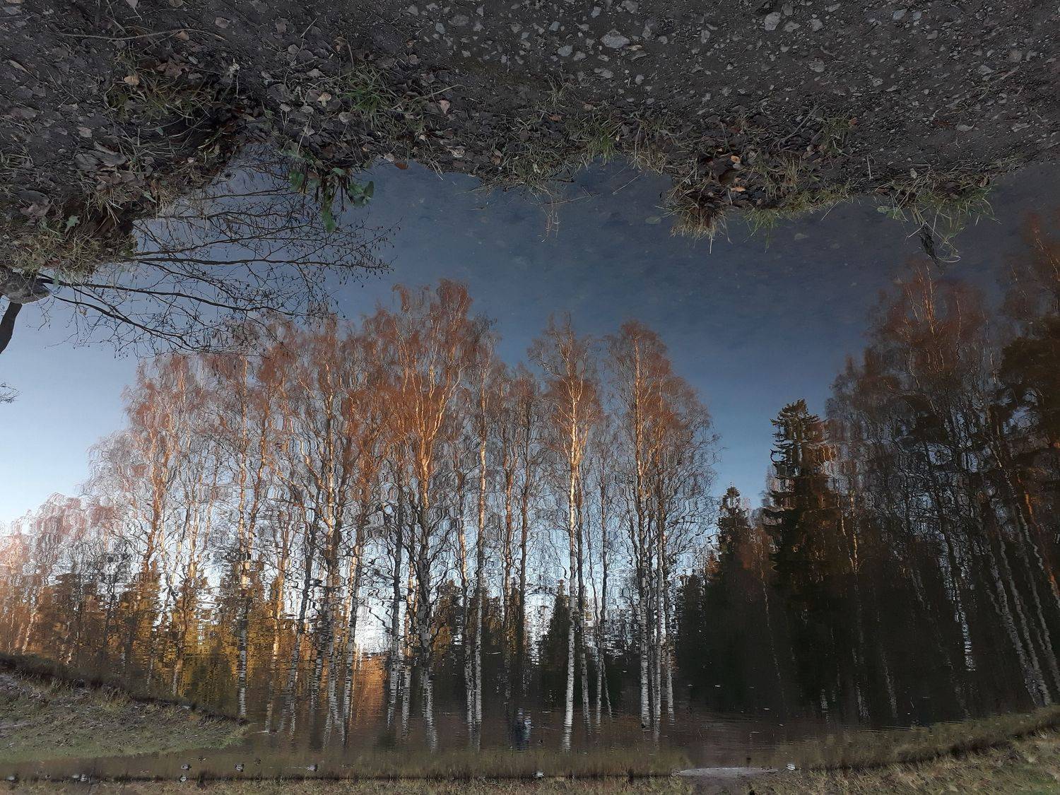 Photo #6991312