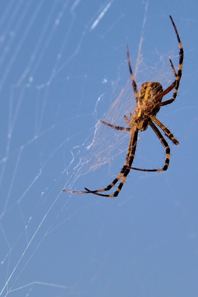 Photograph by Сергей Парантаев