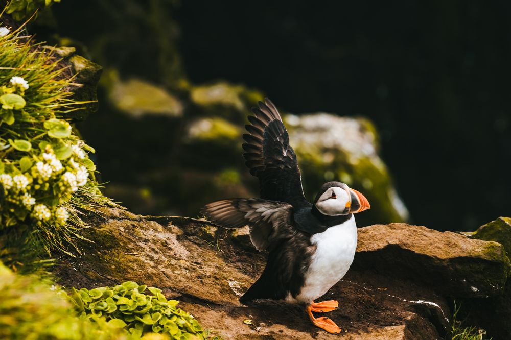 Photograph by Agnieszka Wieczorek