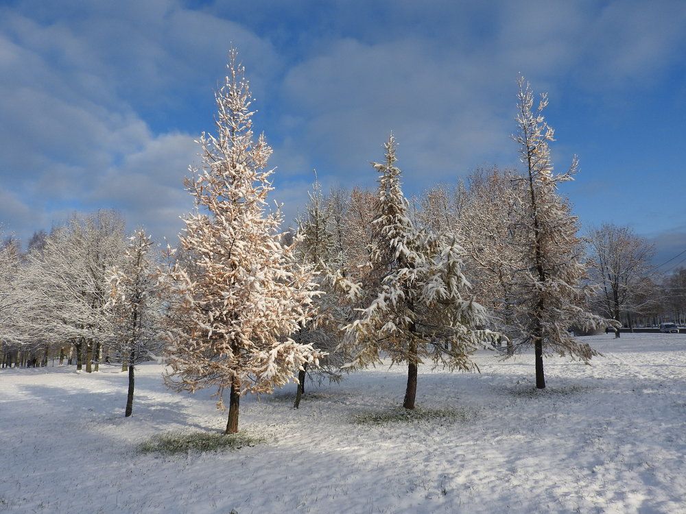 Фотография автора Юлия Овчинникова