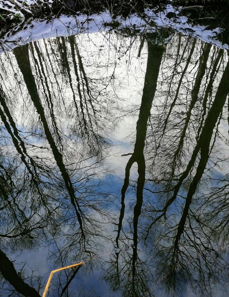 Photograph by Виктор Шубин