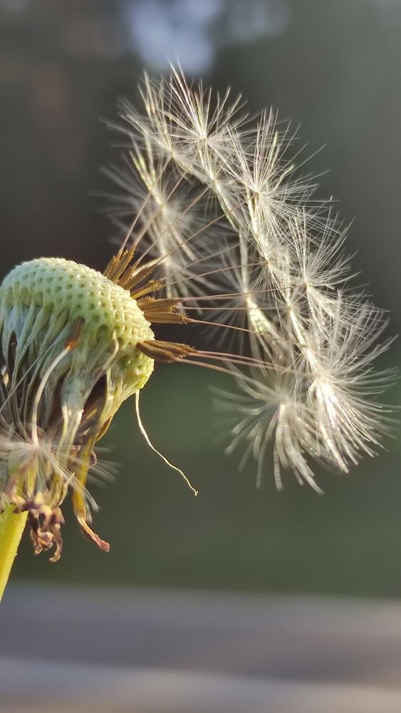 Photograph by Ирина Подлубная
