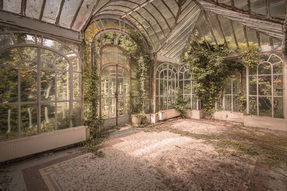 Фотография автора Luana Arena