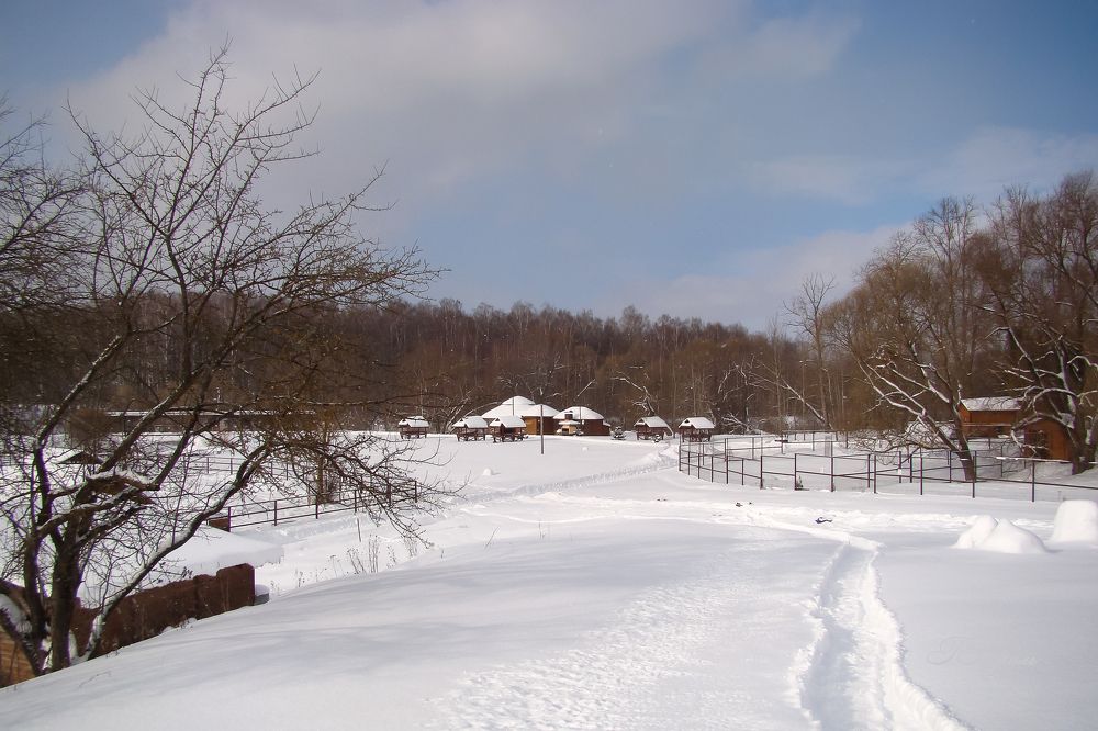 Зима в парке птиц "Воробьи"