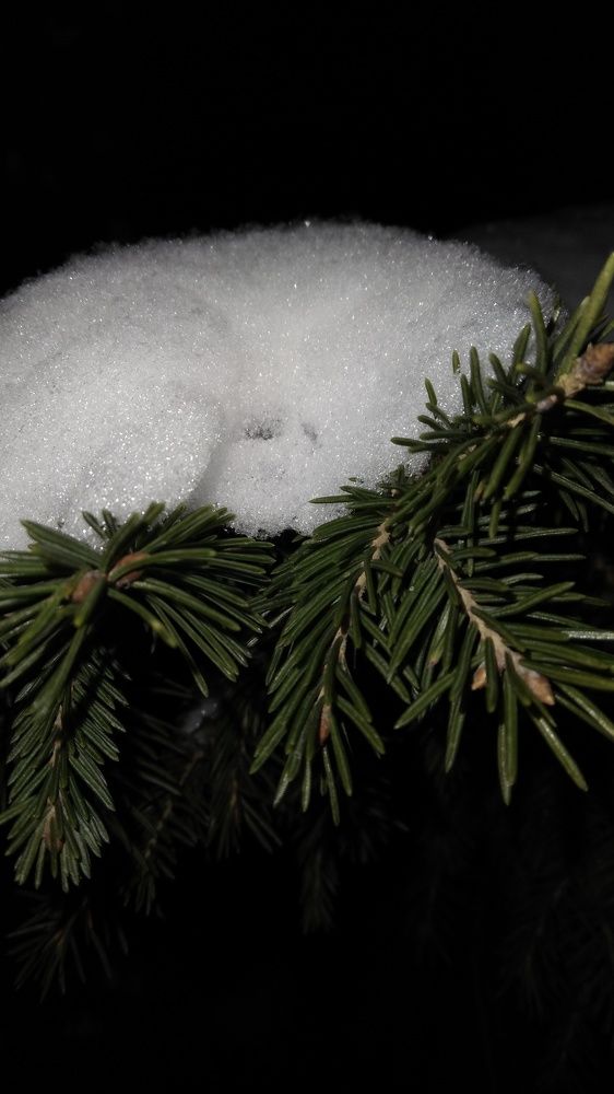 Photo #6991509
