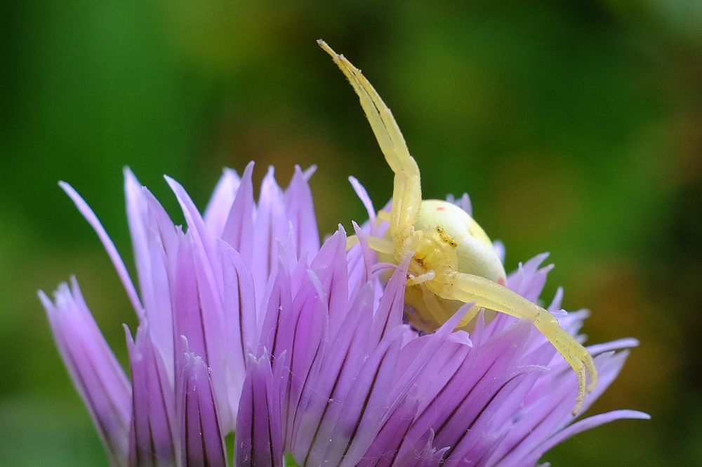 Photograph by Сергей Парантаев