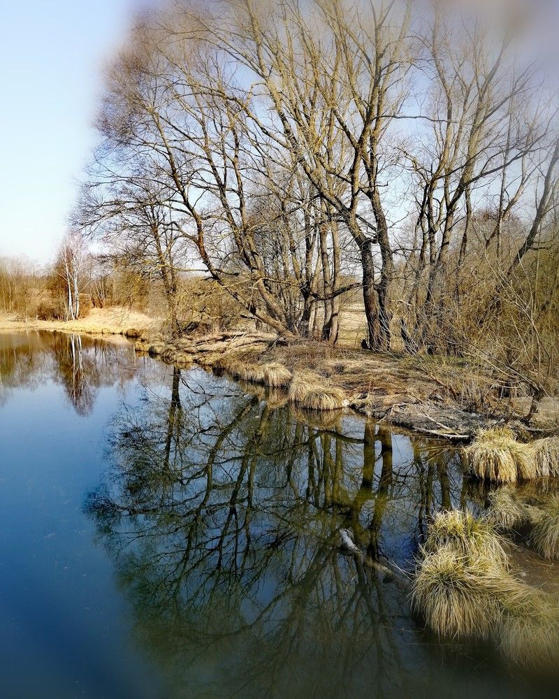 Photograph by Виктор Шубин