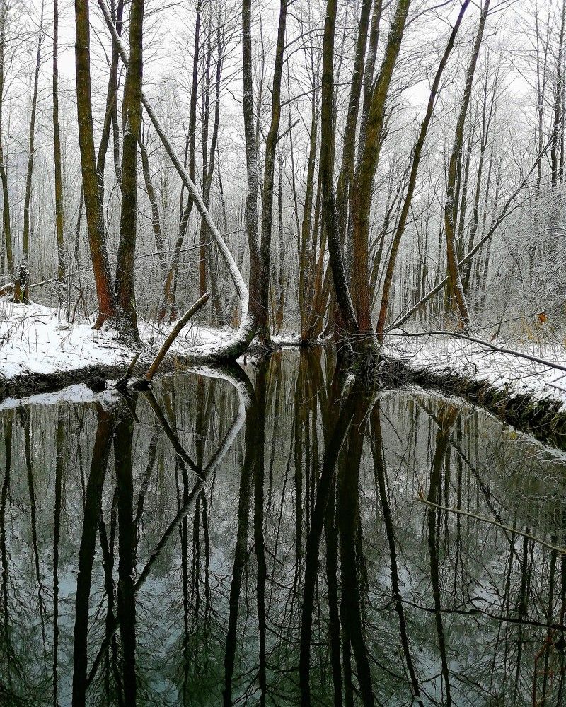 Photograph by Виктор Шубин