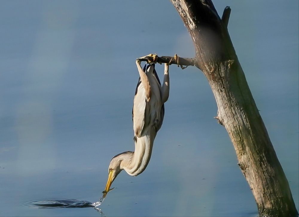 Photograph by Krasimir Georgiev