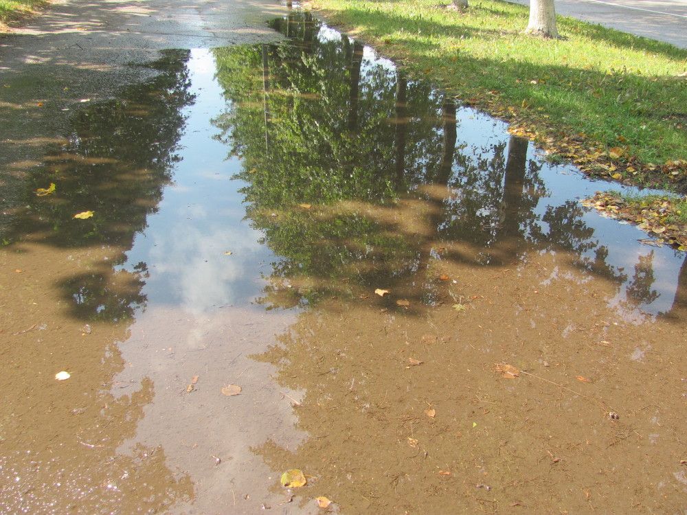 Photograph by Юлия