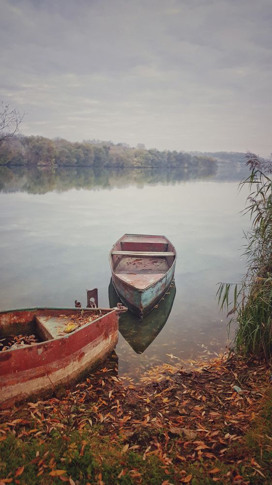 Photograph by Михаил Беляев