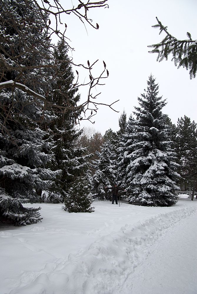 Photograph by Лилия Потравнова