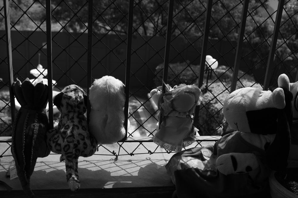 Pandemic times - 2nd year