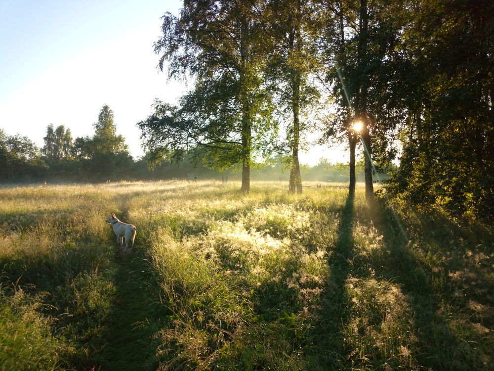 Photograph by Юлия