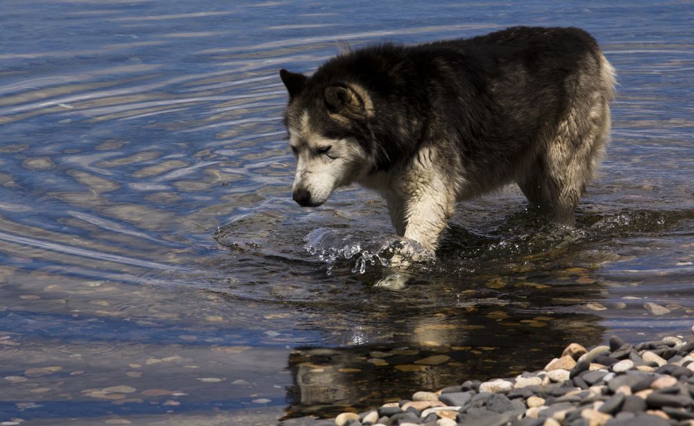 Photograph by Антон Смоляр
