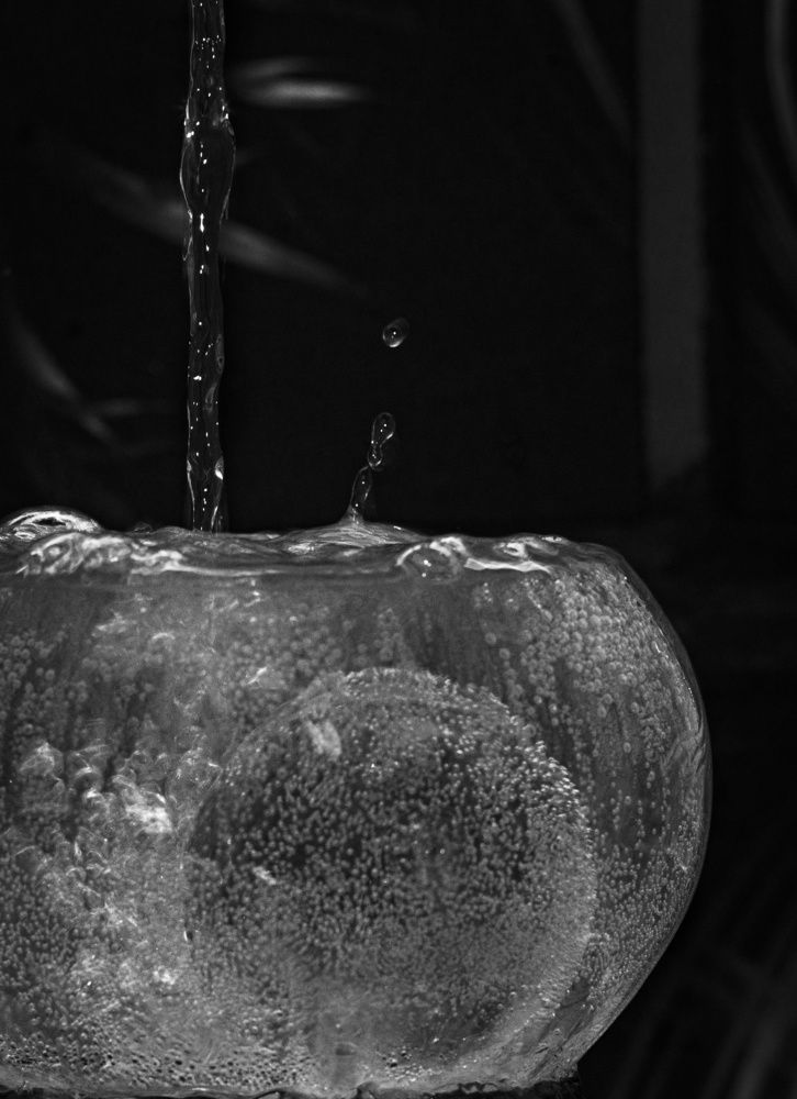 Photograph by Сергей Басов