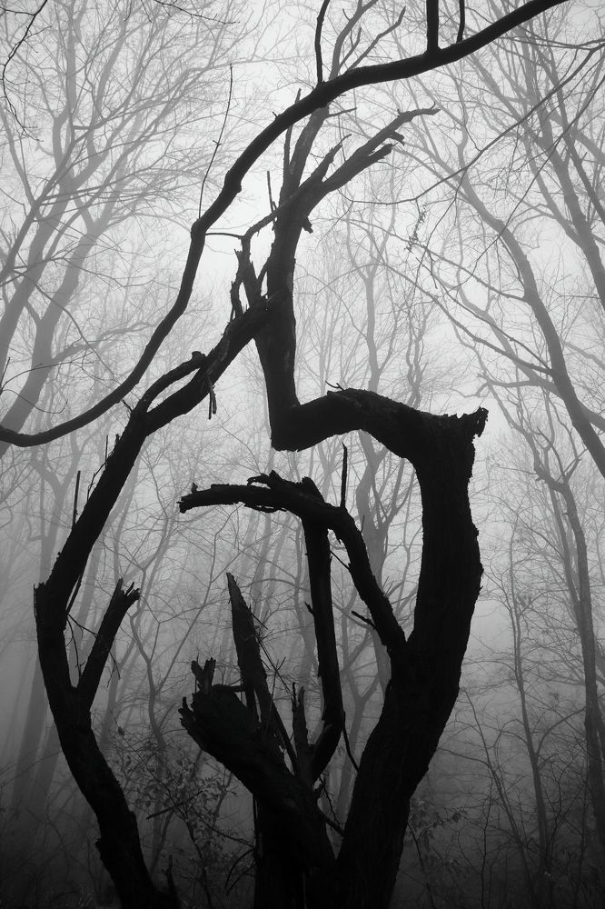 Photograph by Ivaylo Bozhinov