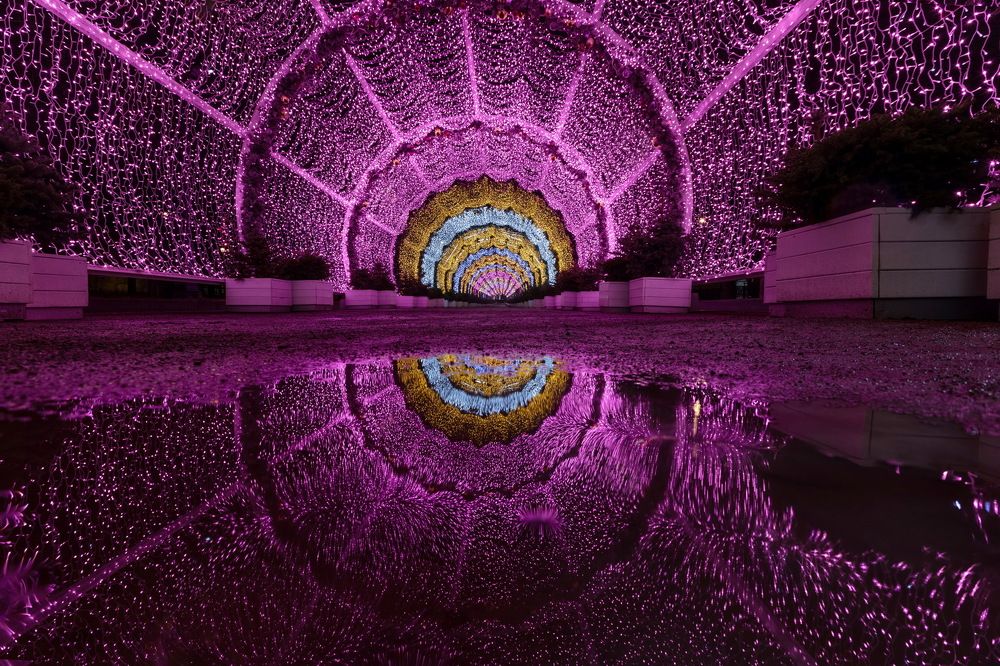 Фотография автора Анжелика