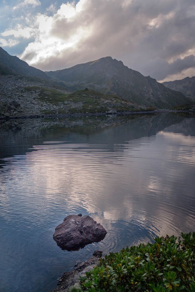 Photograph by Анастасия Плахотникова