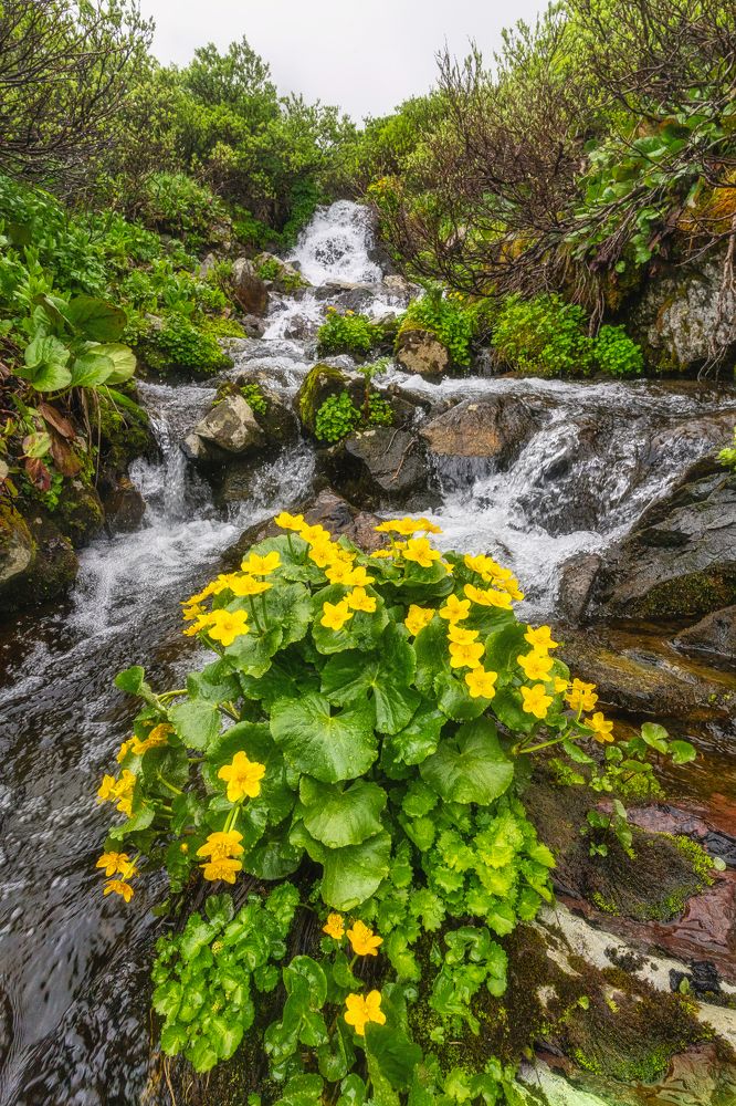 Photograph by Руслан Нигматуллин