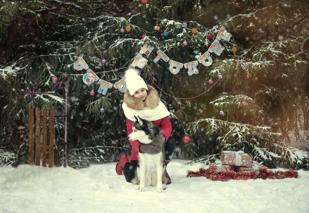 Новогодняя сказака