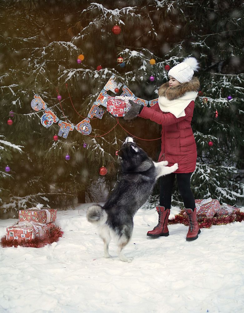 Новогодняя сказака