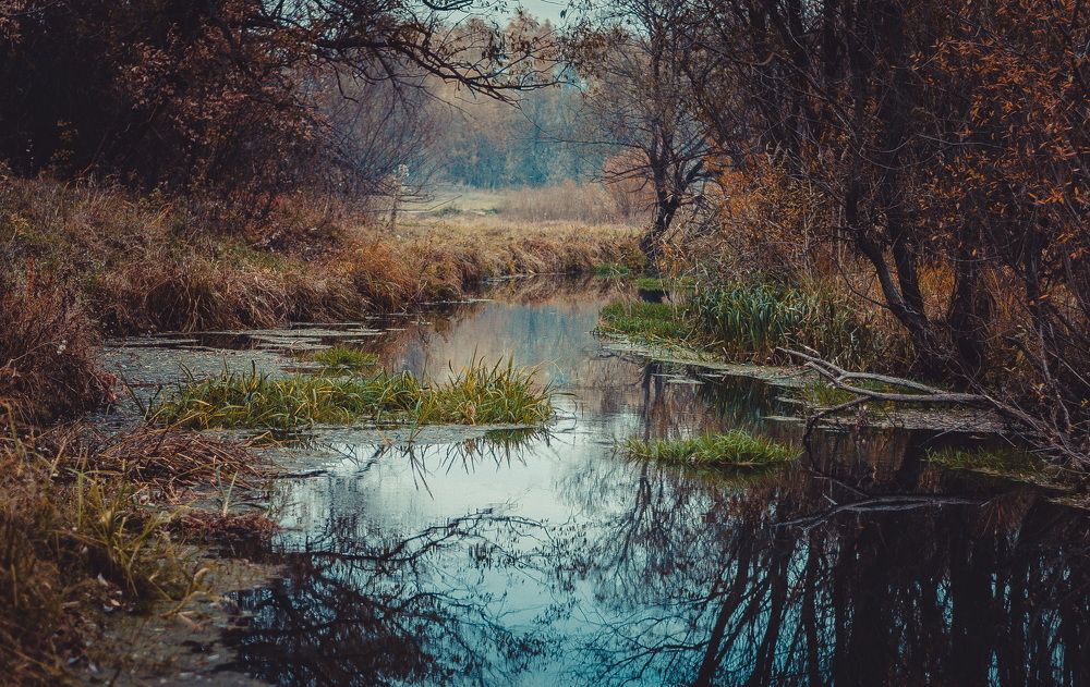 Photograph by Архипов Михаил