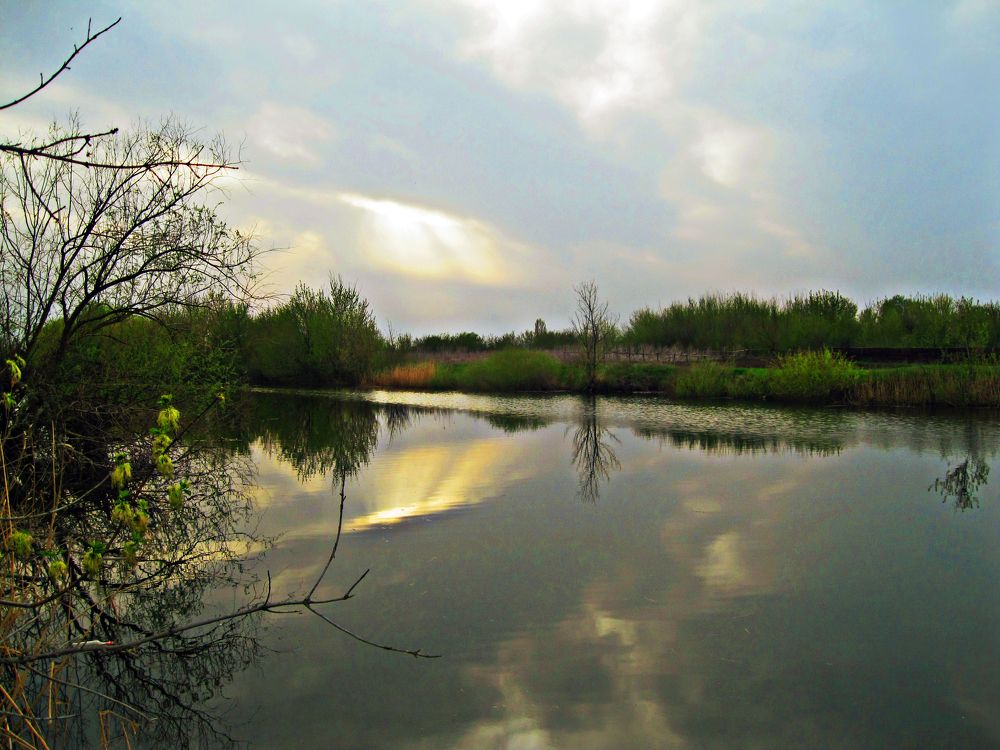 Photograph by Татьяна Королёва