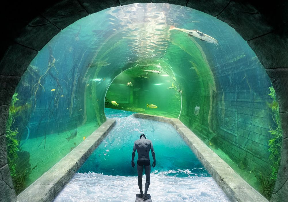 Photograph by Михаил Серебренников