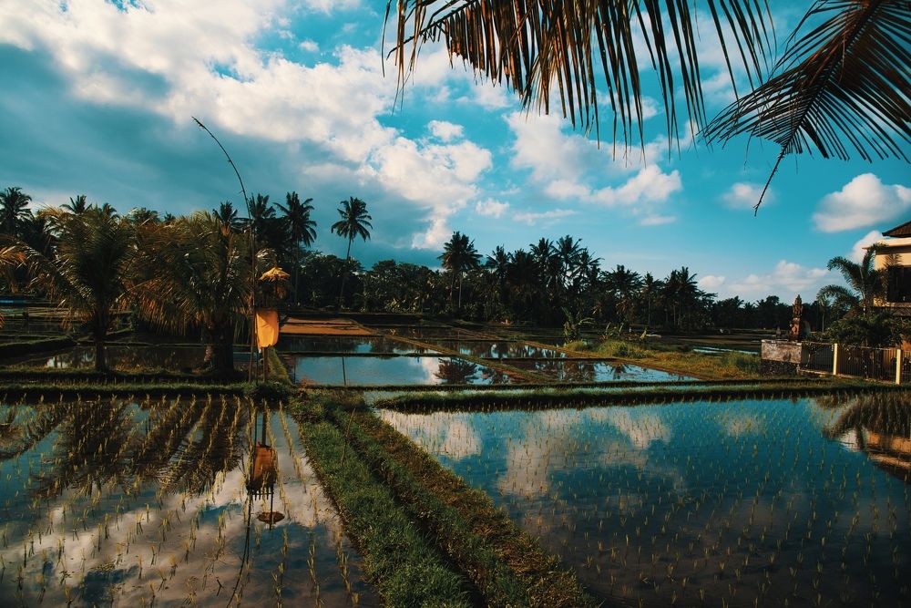 Photograph by Михаил Ноеренчук